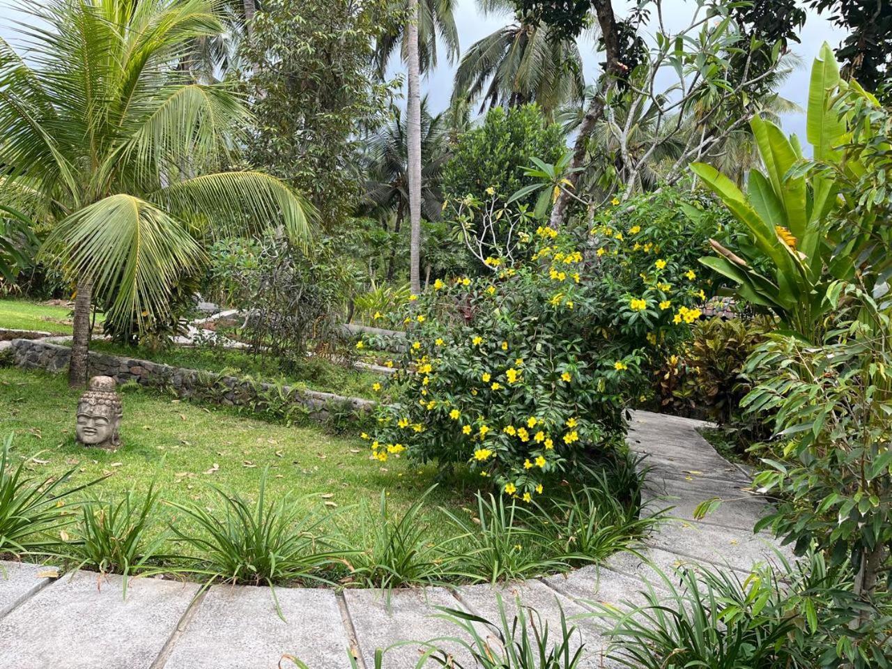 Alam Kowang Villa Tejakula Ngoại thất bức ảnh